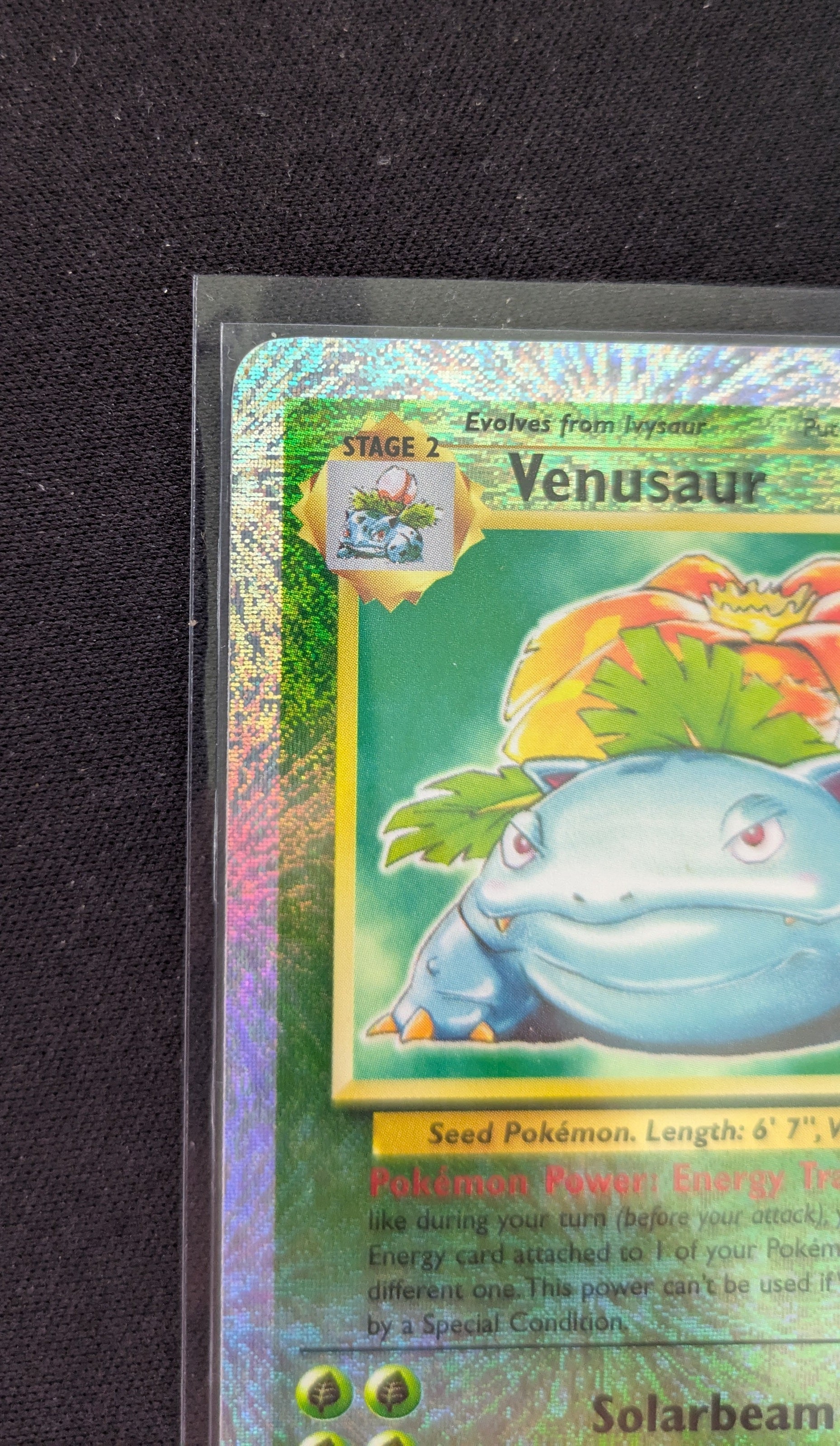 Pokémon Venusaur Reverse Holo #18 